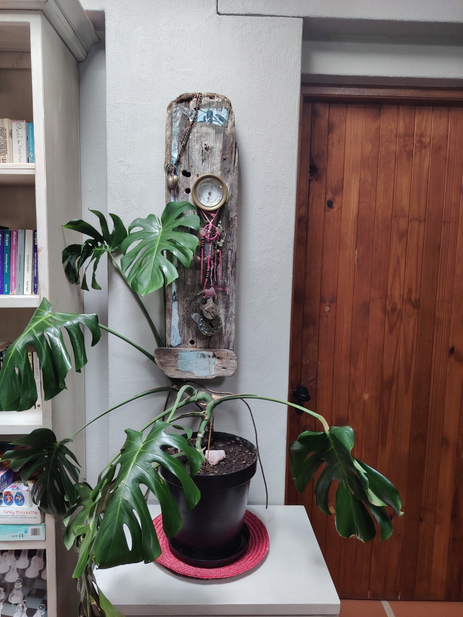 1 Bedroom Property for Sale in Whale Rock Western Cape